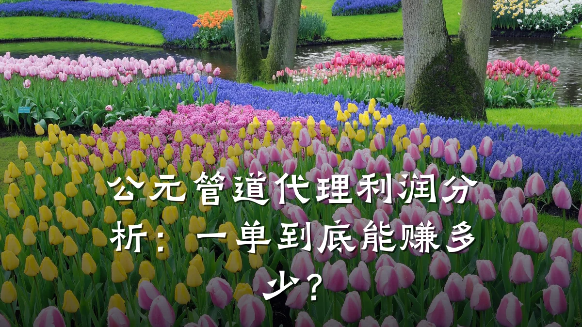 公元管道代理利润分析:一单到底能赚多少?
