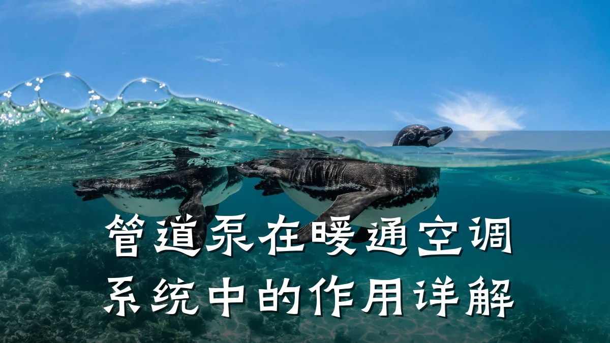 管道泵在暖通空调系统中的作用详解