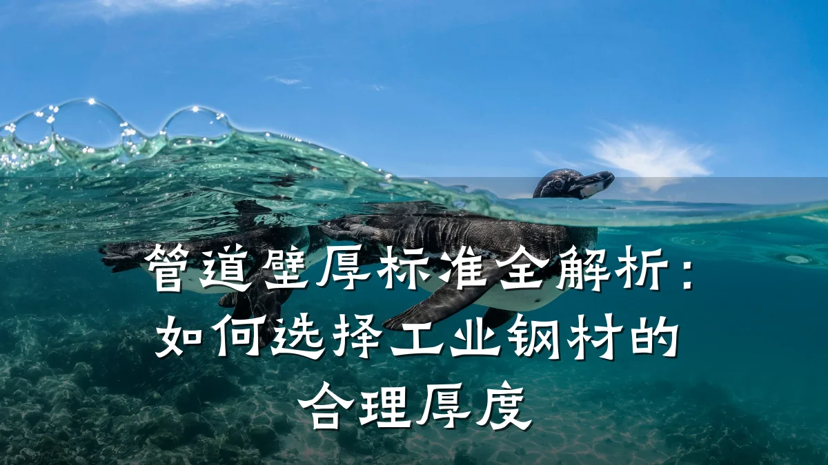 管道壁厚标准全解析:如何选择工业钢材的合理厚度