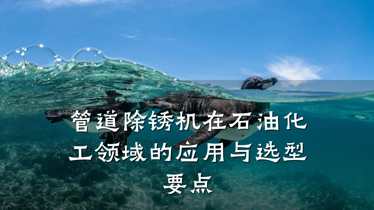 管道除锈机在石油化工领域的应用与选型要点