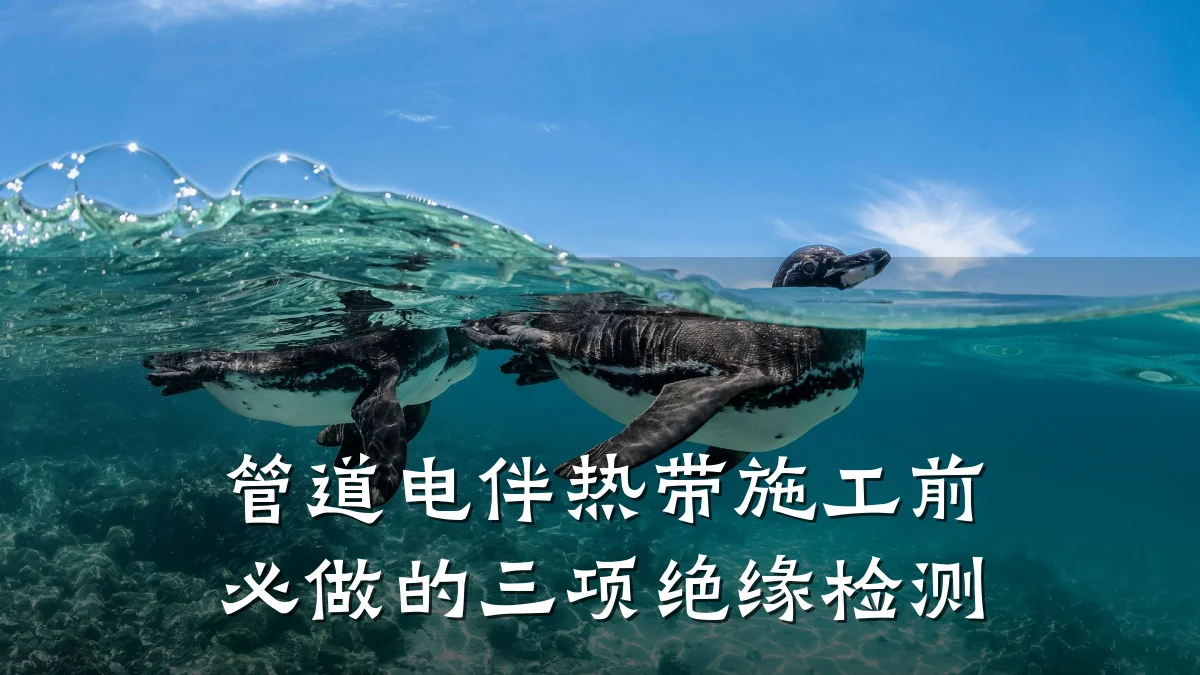 管道电伴热带施工前必做的三项绝缘检测