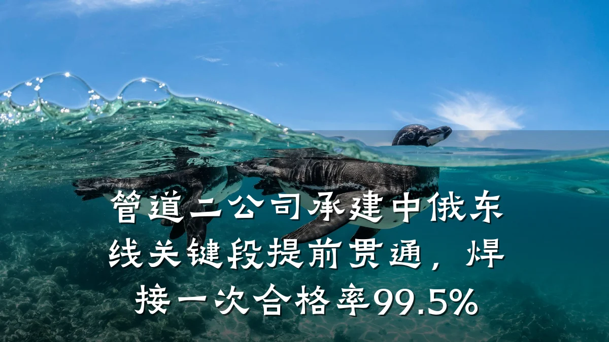 管道二公司承建中俄东线关键段提前贯通,焊接一次合格率99.5%