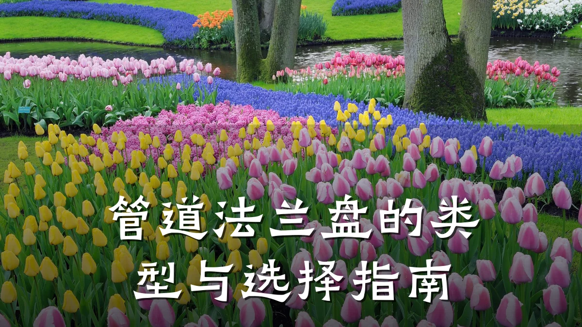 管道法兰盘的类型与选择指南