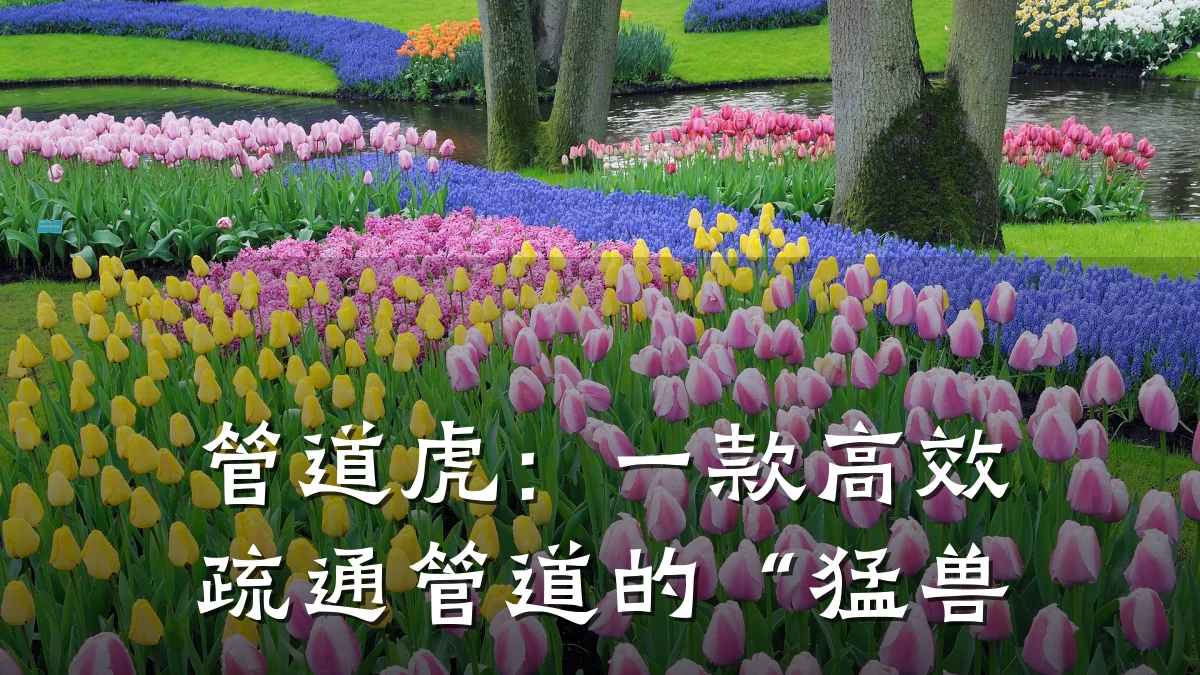 管道虎:一款高效疏通管道的“猛兽