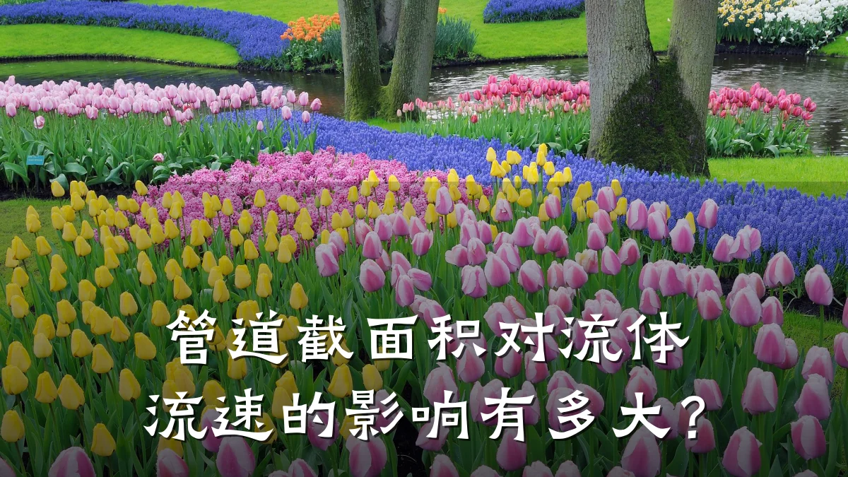 管道截面积对流体流速的影响有多大?