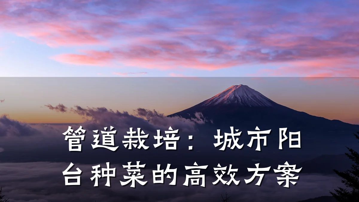 管道栽培:城市阳台种菜的高效方案