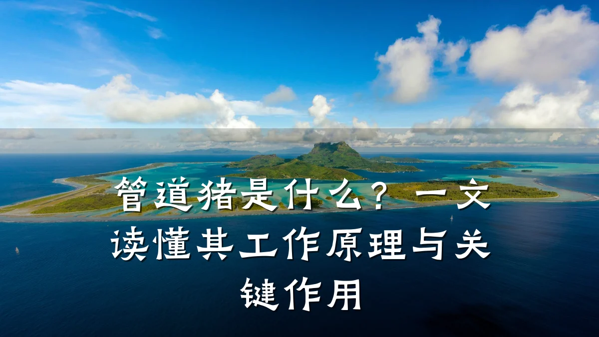 管道猪是什么？一文读懂其工作原理与关键作用