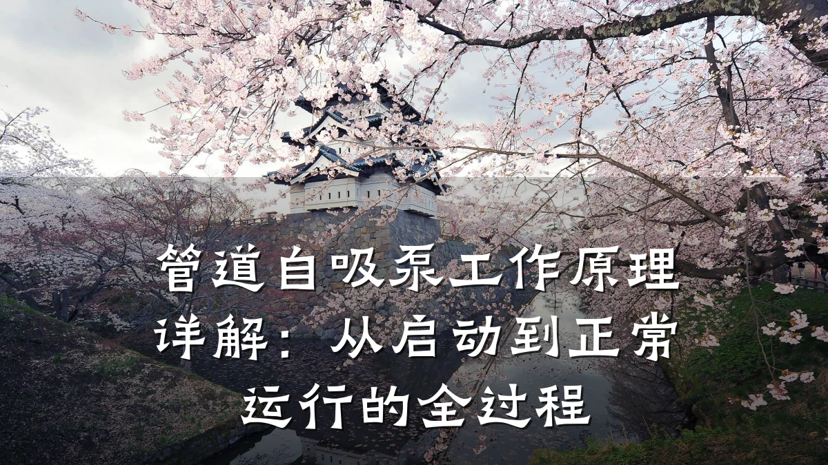 管道自吸泵工作原理详解:从启动到正常运行的全过程
