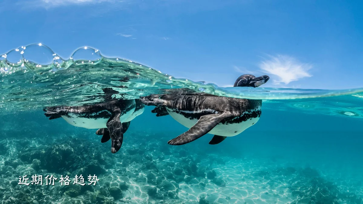 近期价格趋势