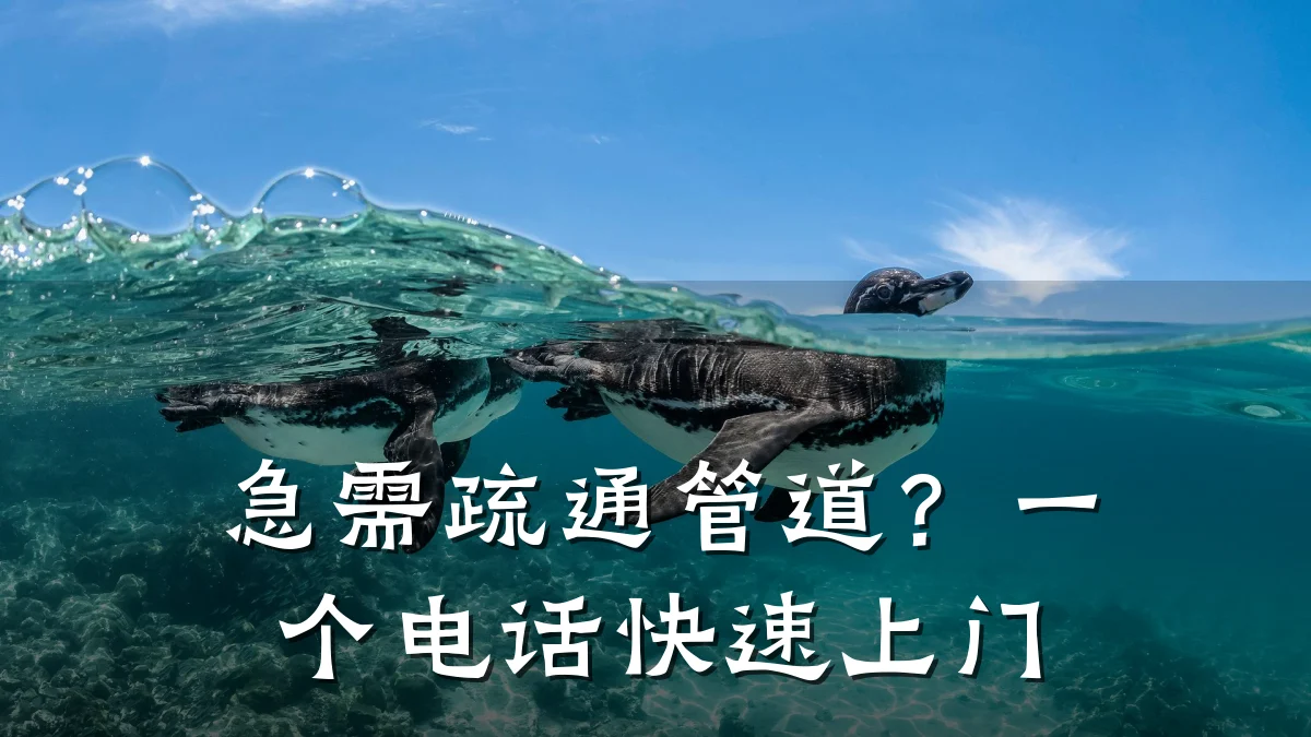 急需疏通管道?一个电话快速上门