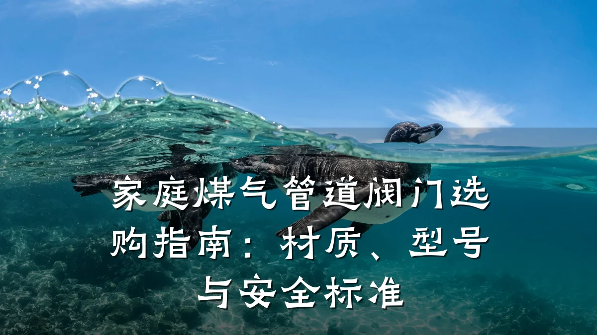 家庭煤气管道阀门选购指南:材质、型号与安全标准
