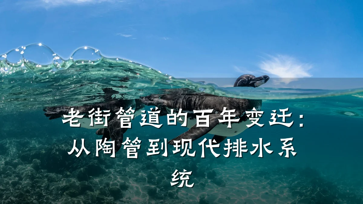 老街管道的百年变迁:从陶管到现代排水系统