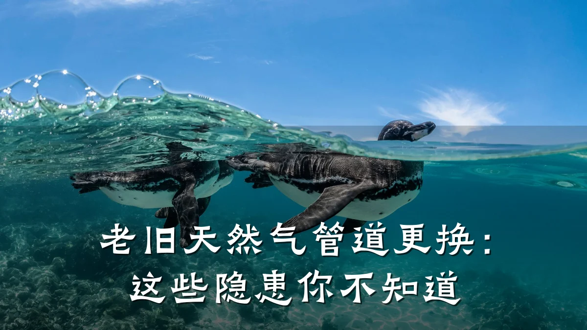 老旧天然气管道更换:这些隐患你不知道