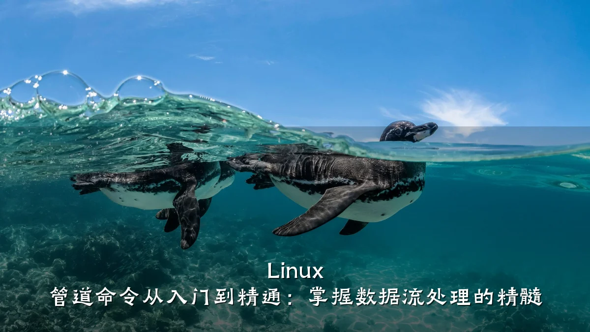 Linux 管道命令从入门到精通:掌握数据流处理的精髓