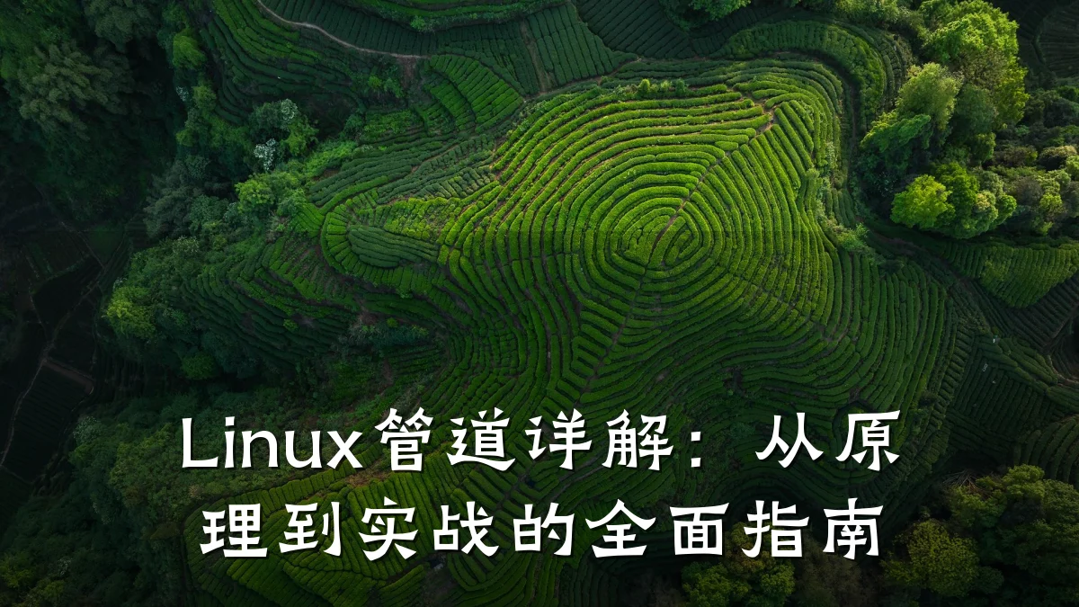 Linux管道详解:从原理到实战的全面指南