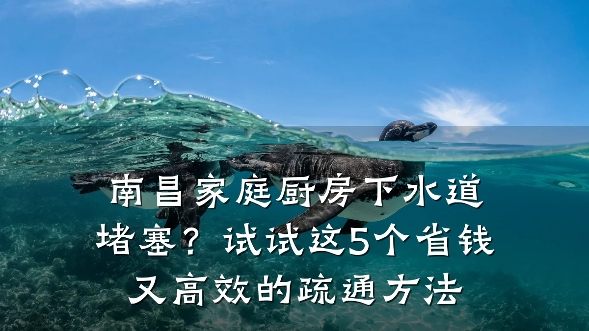 南昌家庭厨房下水道堵塞？试试这5个省钱又高效的疏通方法