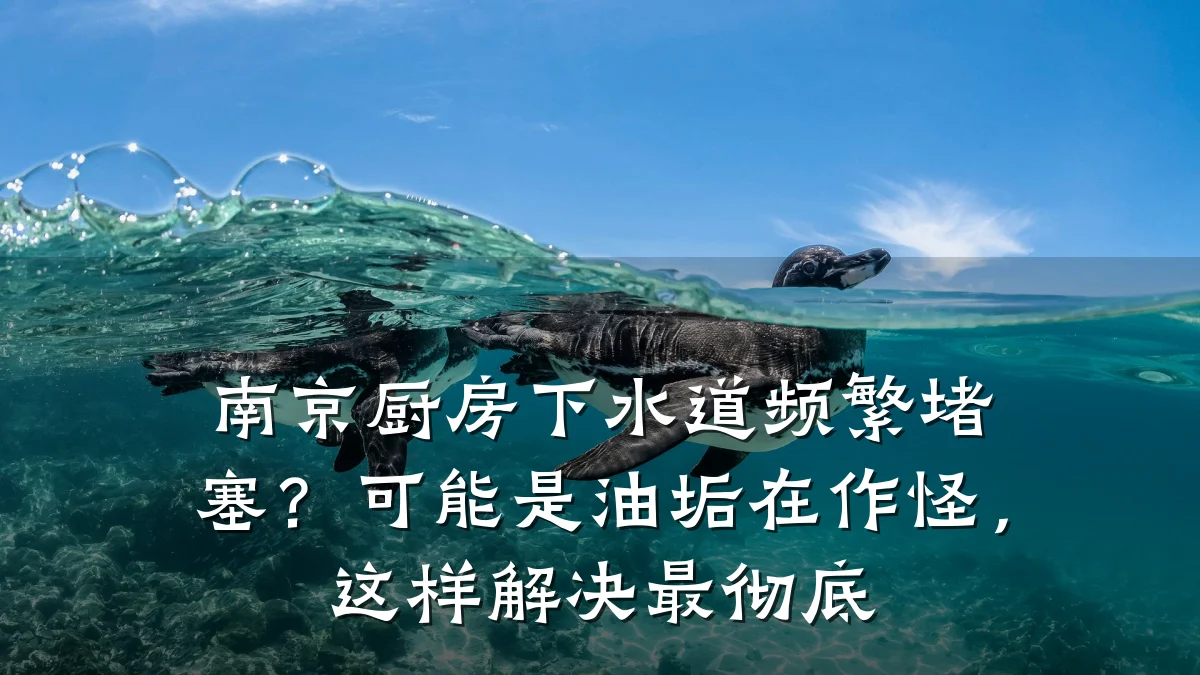 南京厨房下水道频繁堵塞?可能是油垢在作怪,这样解决最彻底