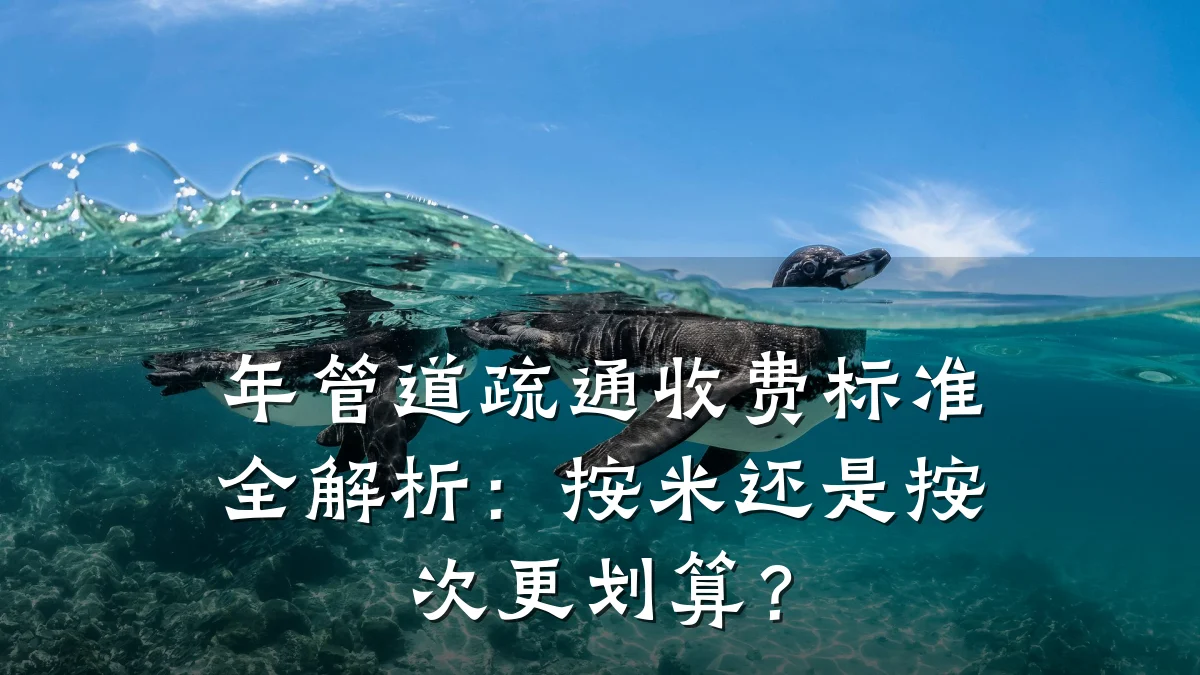 年管道疏通收费标准全解析:按米还是按次更划算?
