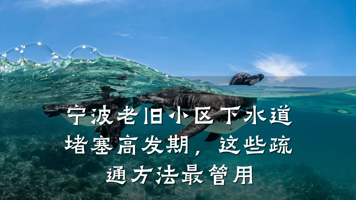 宁波老旧小区下水道堵塞高发期,这些疏通方法最管用