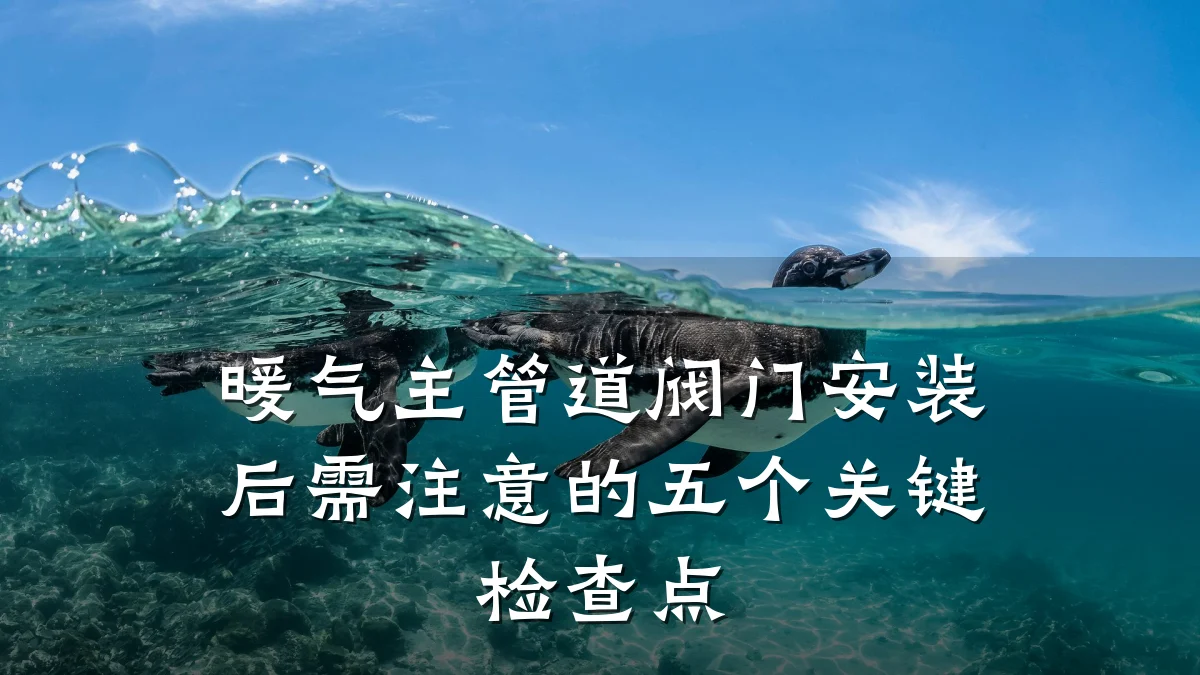 暖气主管道阀门安装后需注意的五个关键检查点
