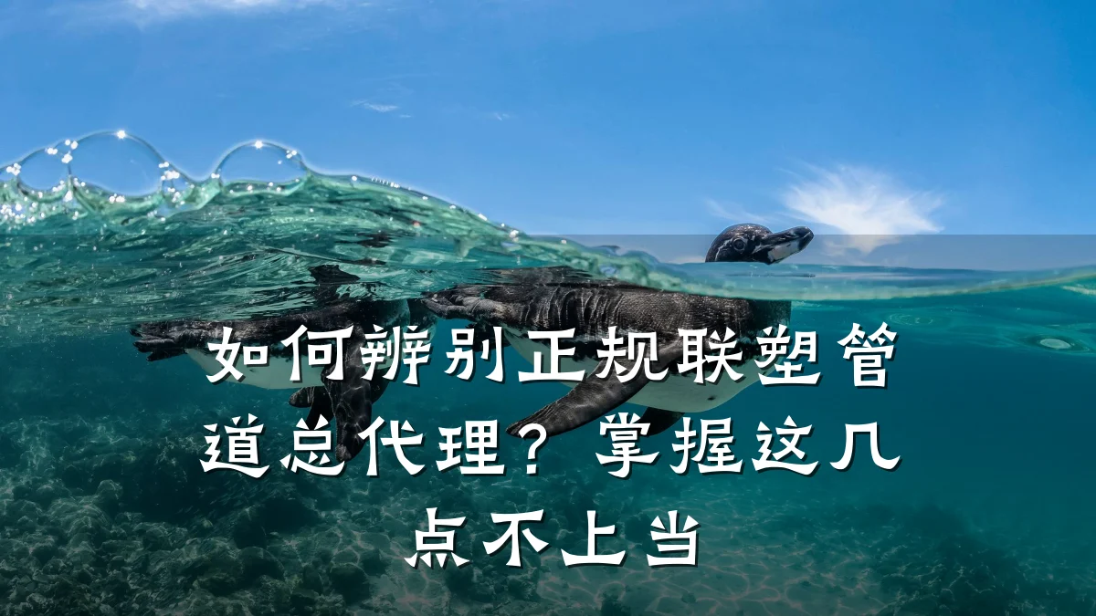 如何辨别正规联塑管道总代理?掌握这几点不上当