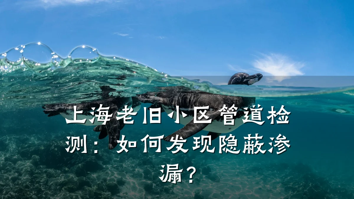 上海老旧小区管道检测:如何发现隐蔽渗漏?