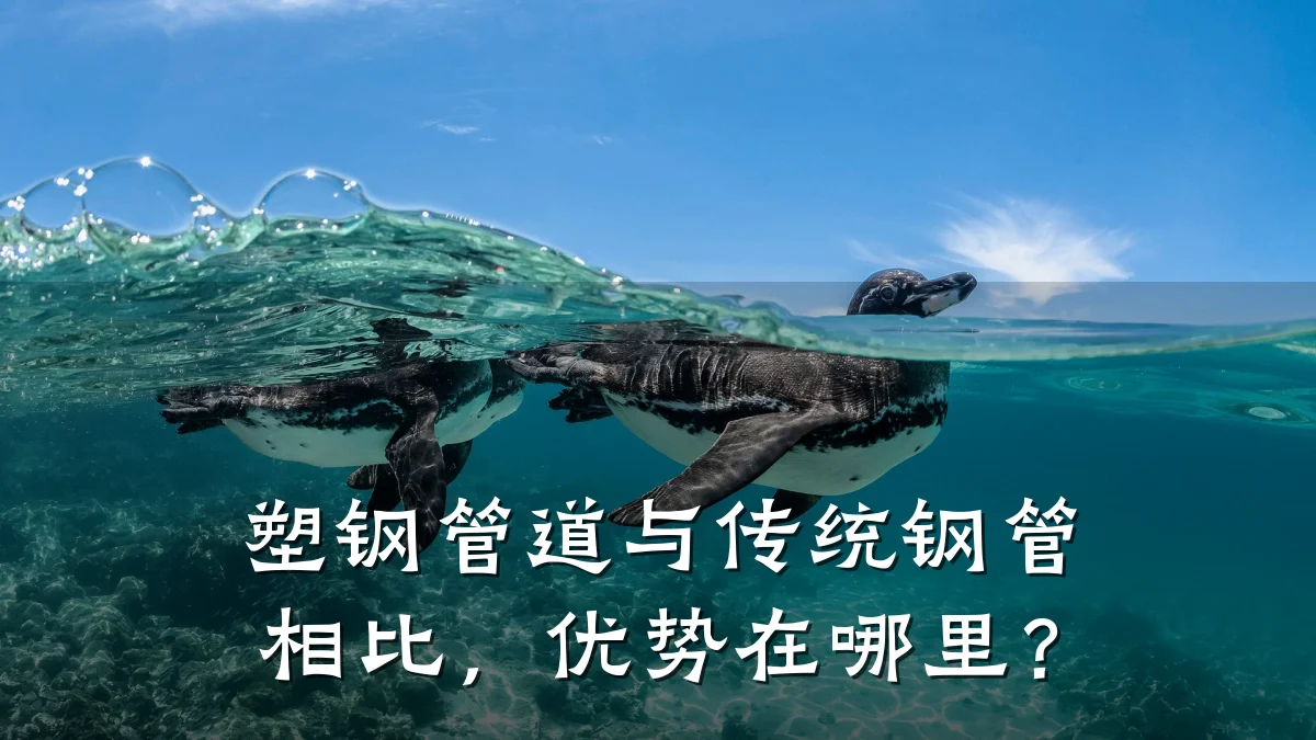 塑钢管道与传统钢管相比，优势在哪里？