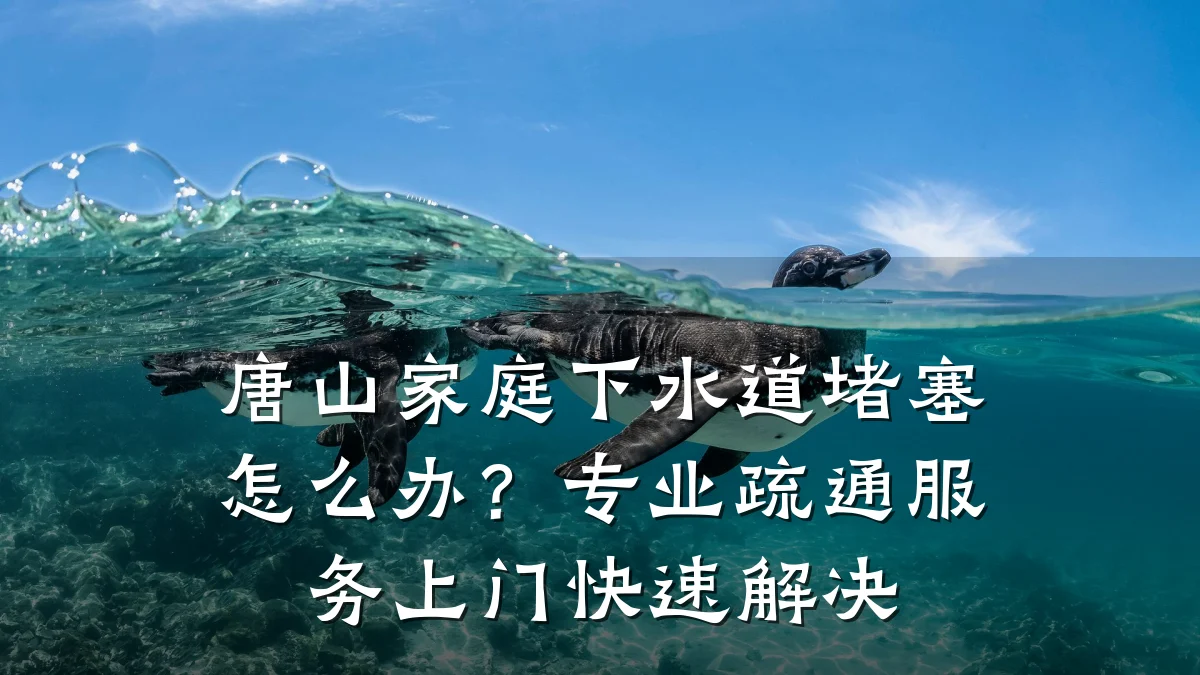 唐山家庭下水道堵塞怎么办？专业疏通服务上门快速解决