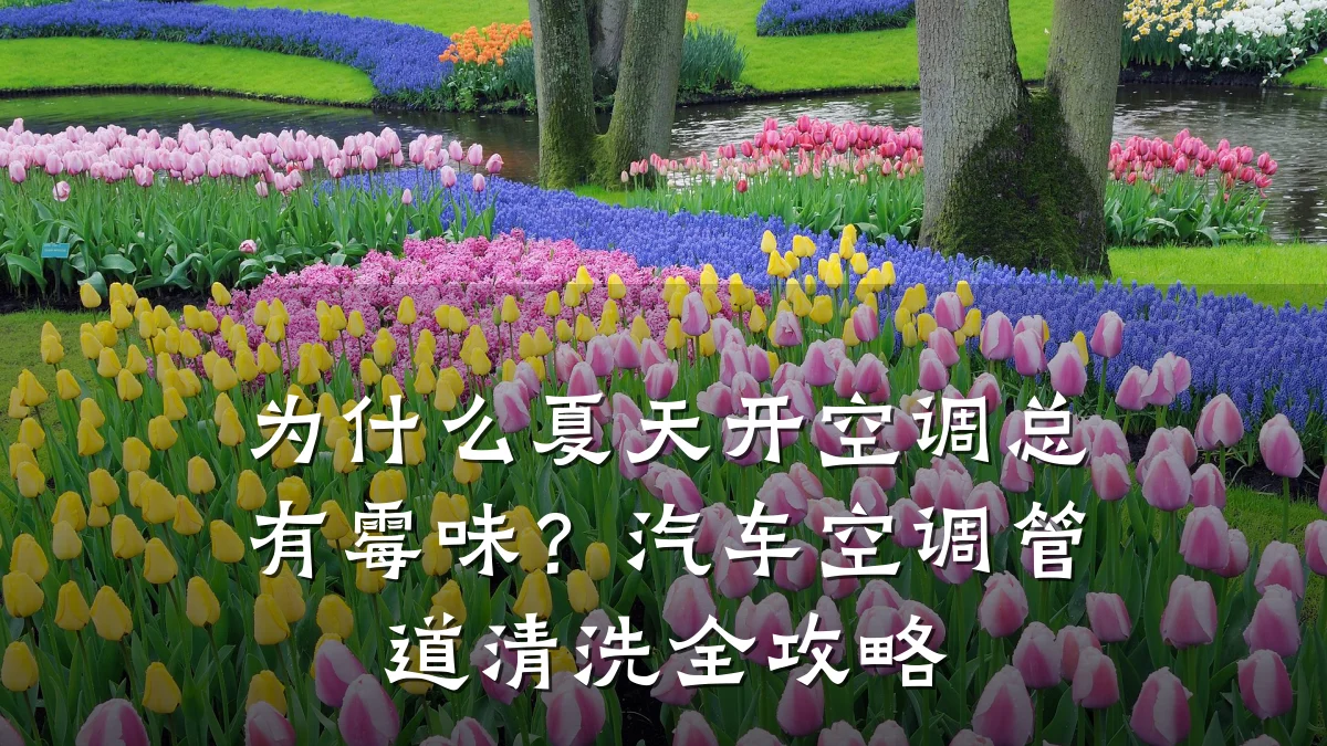 为什么夏天开空调总有霉味?汽车空调管道清洗全攻略