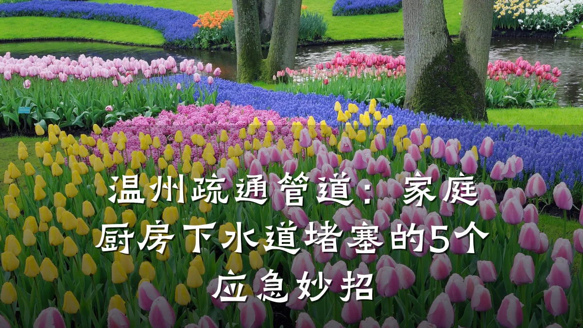 温州疏通管道:家庭厨房下水道堵塞的5个应急妙招