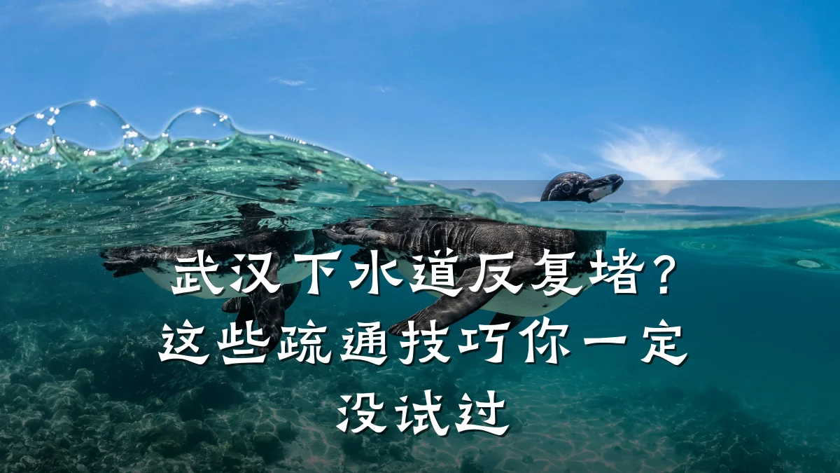 武汉下水道反复堵?这些疏通技巧你一定没试过