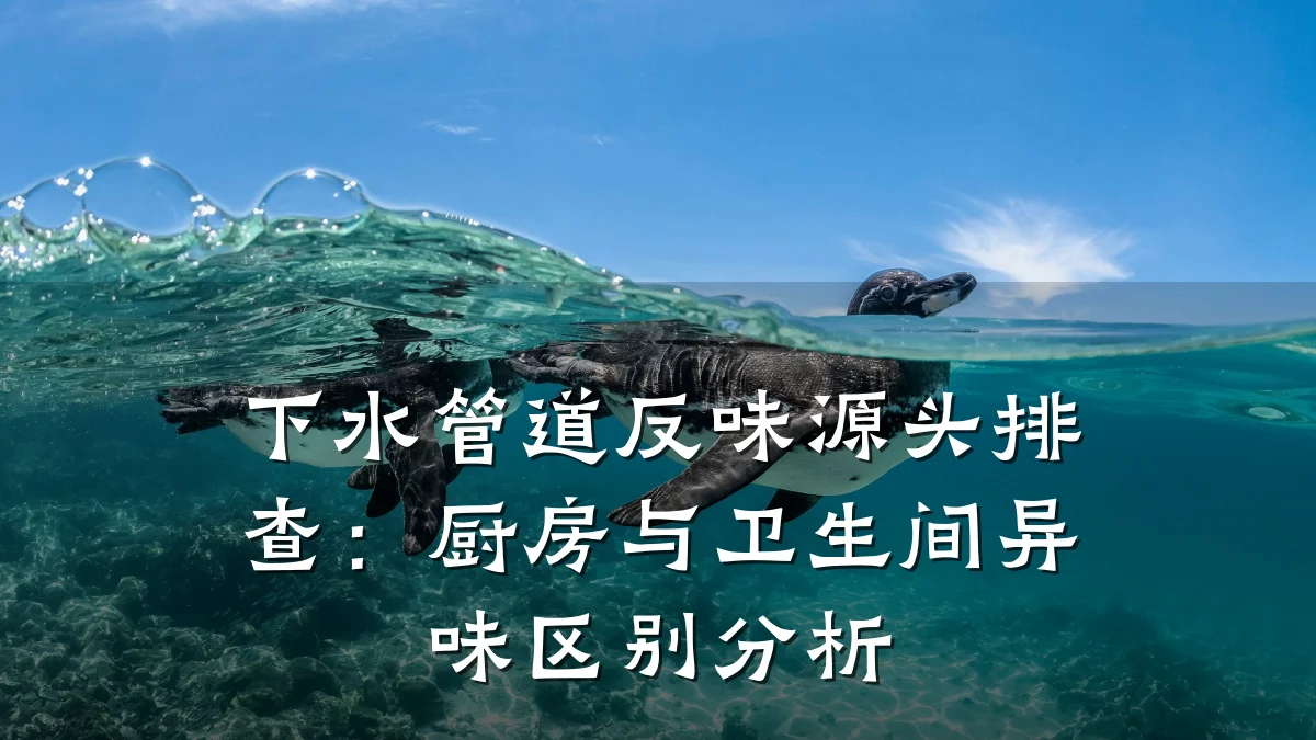 下水管道反味源头排查:厨房与卫生间异味区别分析