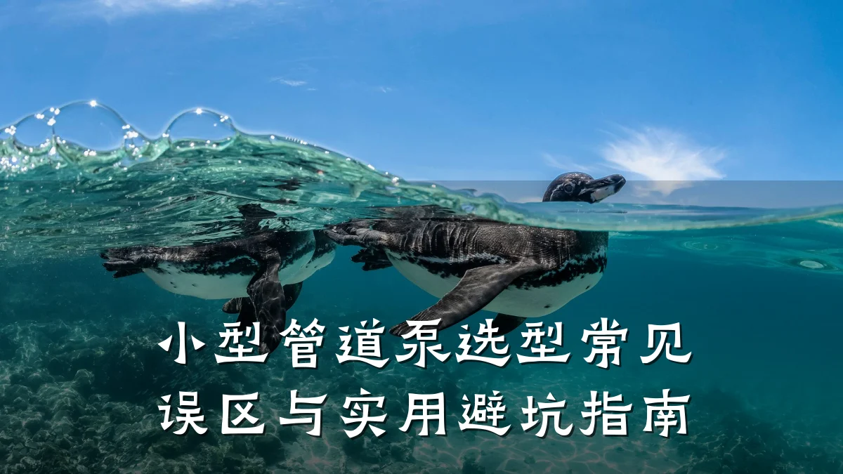 小型管道泵选型常见误区与实用避坑指南