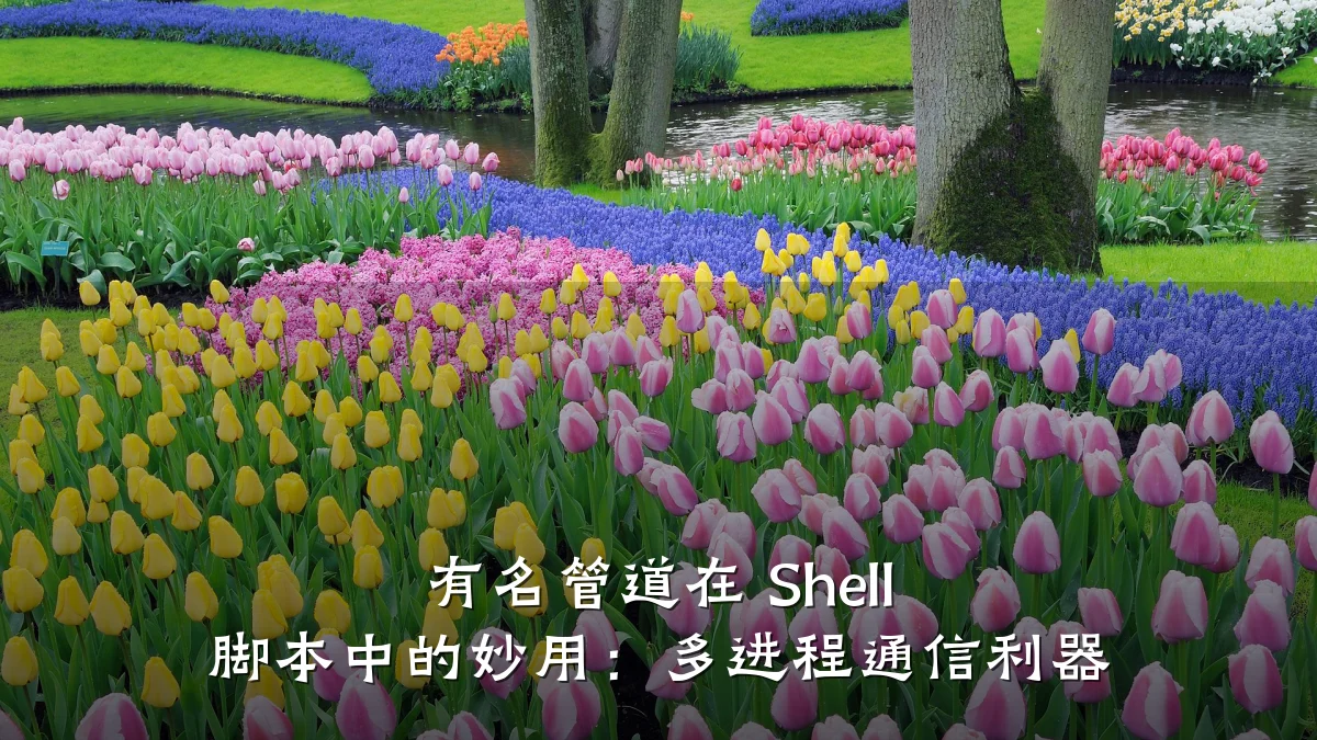 有名管道在 Shell 脚本中的妙用:多进程通信利器