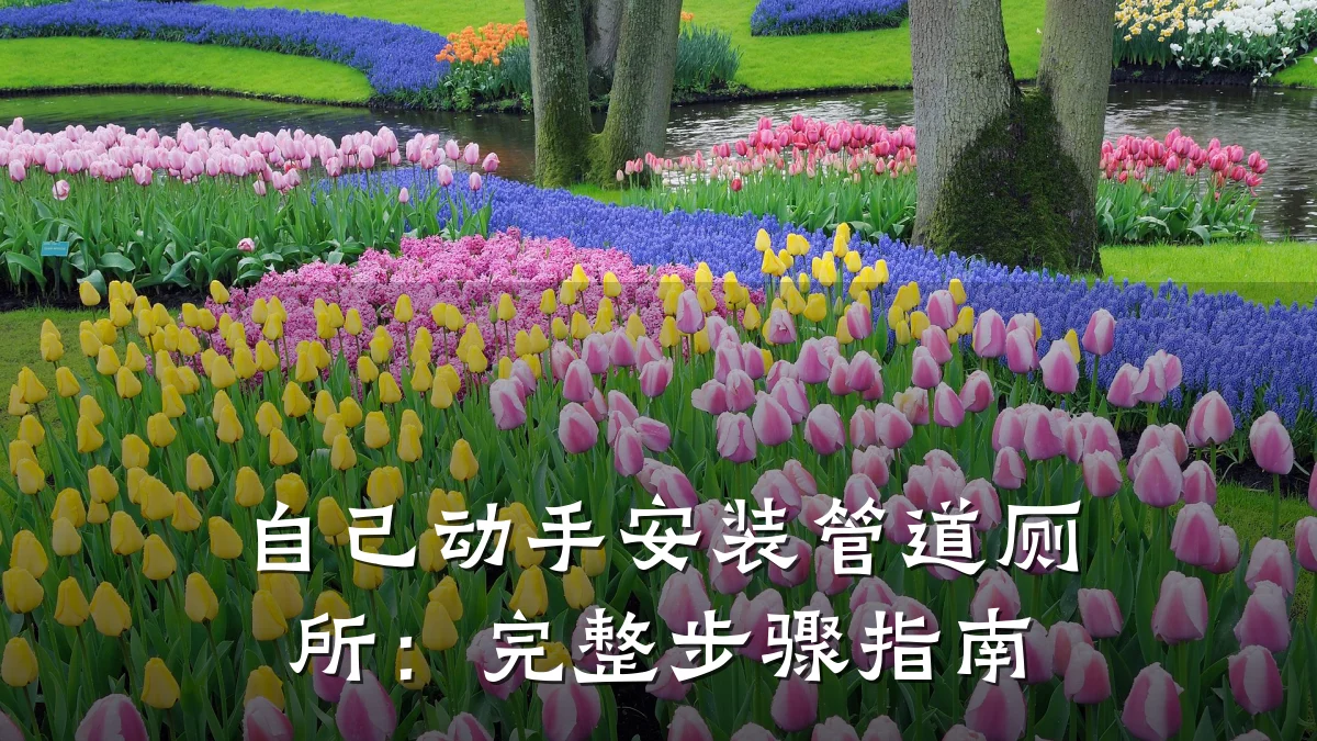 自己动手安装管道厕所:完整步骤指南