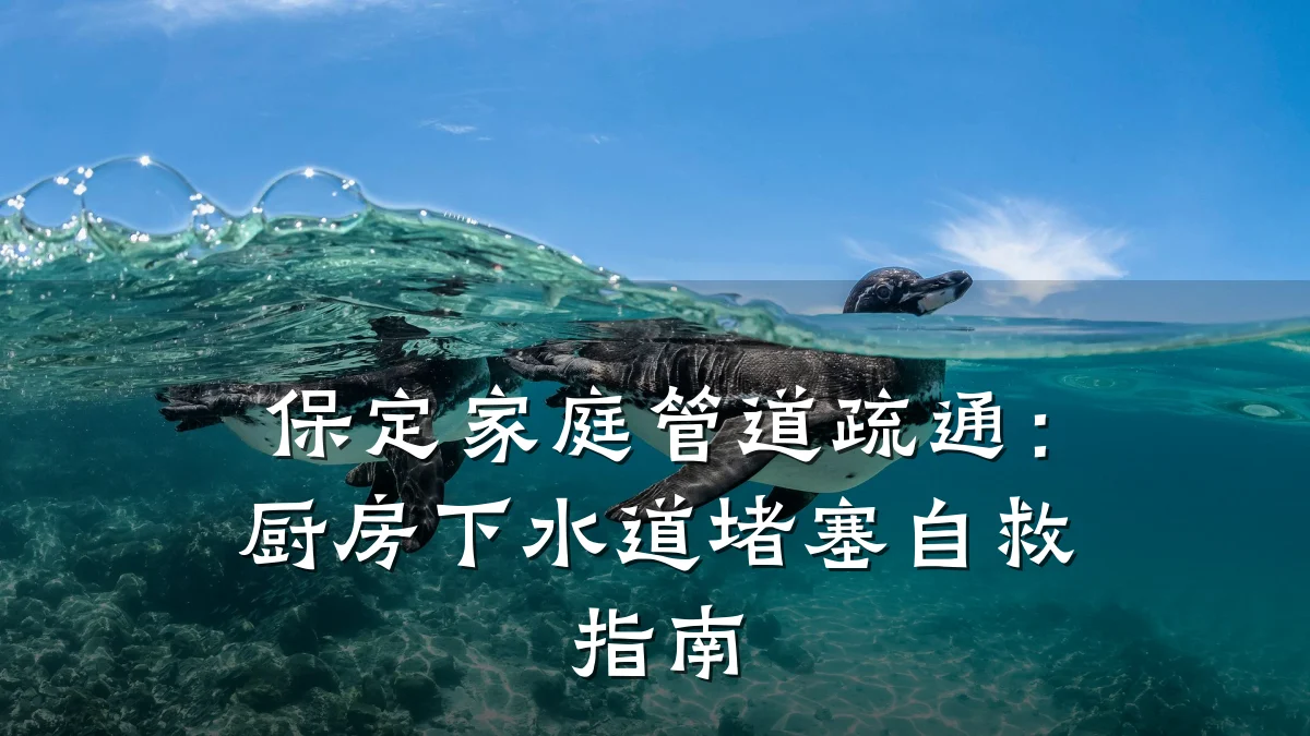 保定家庭管道疏通:厨房下水道堵塞自救指南