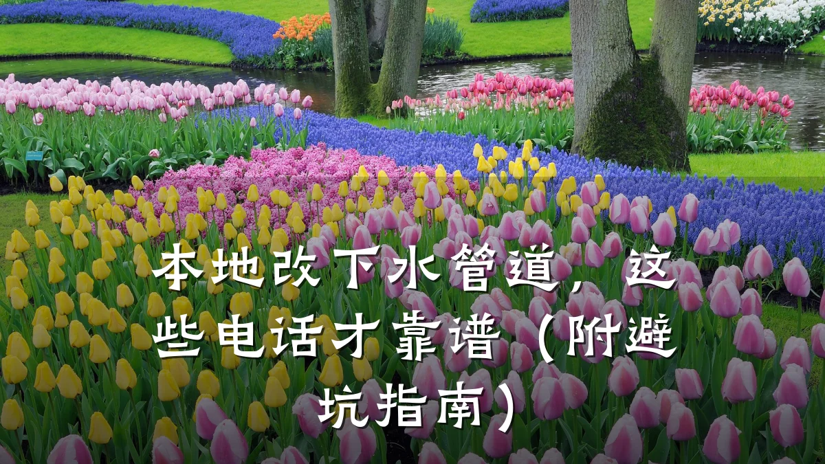 本地改下水管道,这些电话才靠谱(附避坑指南)