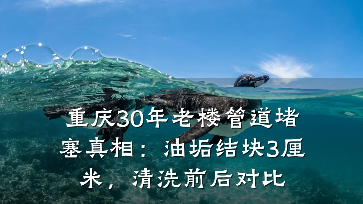 重庆30年老楼管道堵塞真相:油垢结块3厘米,清洗前后对比