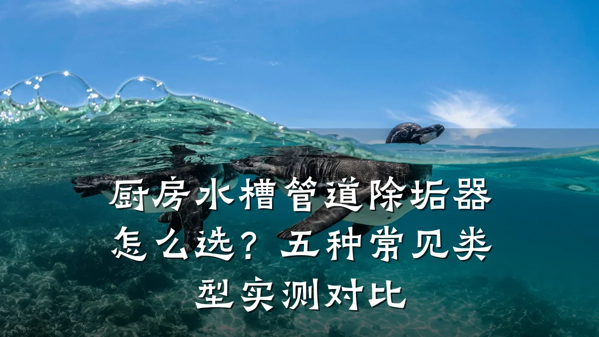 厨房水槽管道除垢器怎么选?五种常见类型实测对比