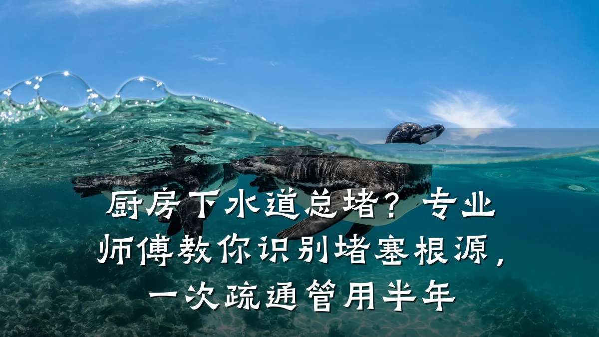 厨房下水道总堵?专业师傅教你识别堵塞根源,一次疏通管用半年