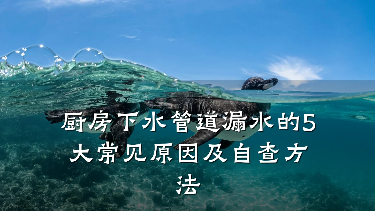 厨房下水管道漏水的5大常见原因及自查方法