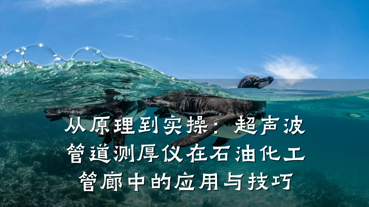 从原理到实操:超声波管道测厚仪在石油化工管廊中的应用与技巧