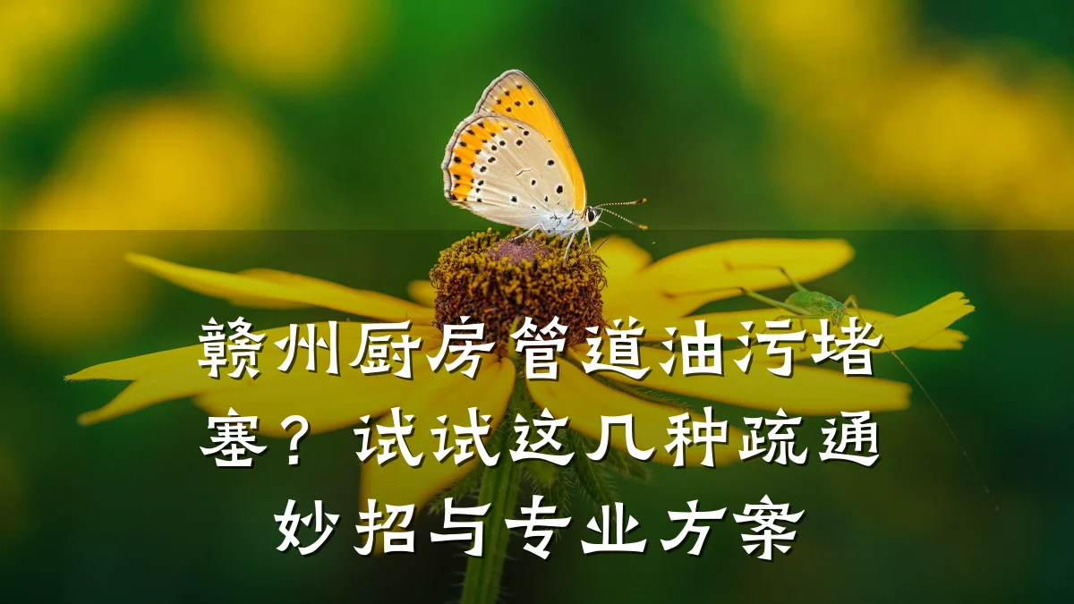 赣州厨房管道油污堵塞?试试这几种疏通妙招与专业方案