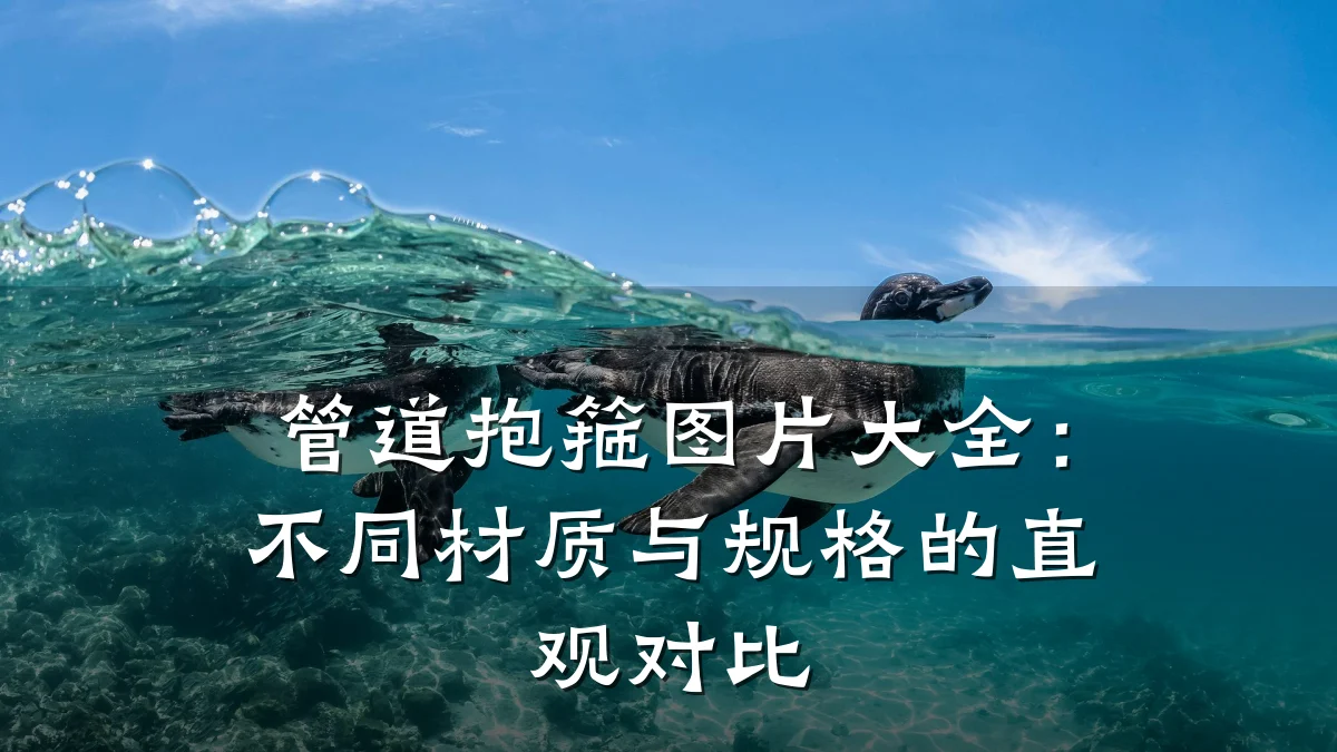 管道抱箍图片大全:不同材质与规格的直观对比