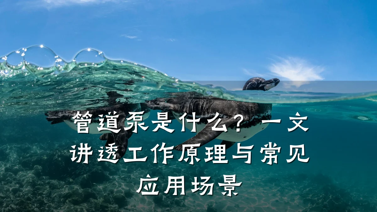 管道泵是什么?一文讲透工作原理与常见应用场景