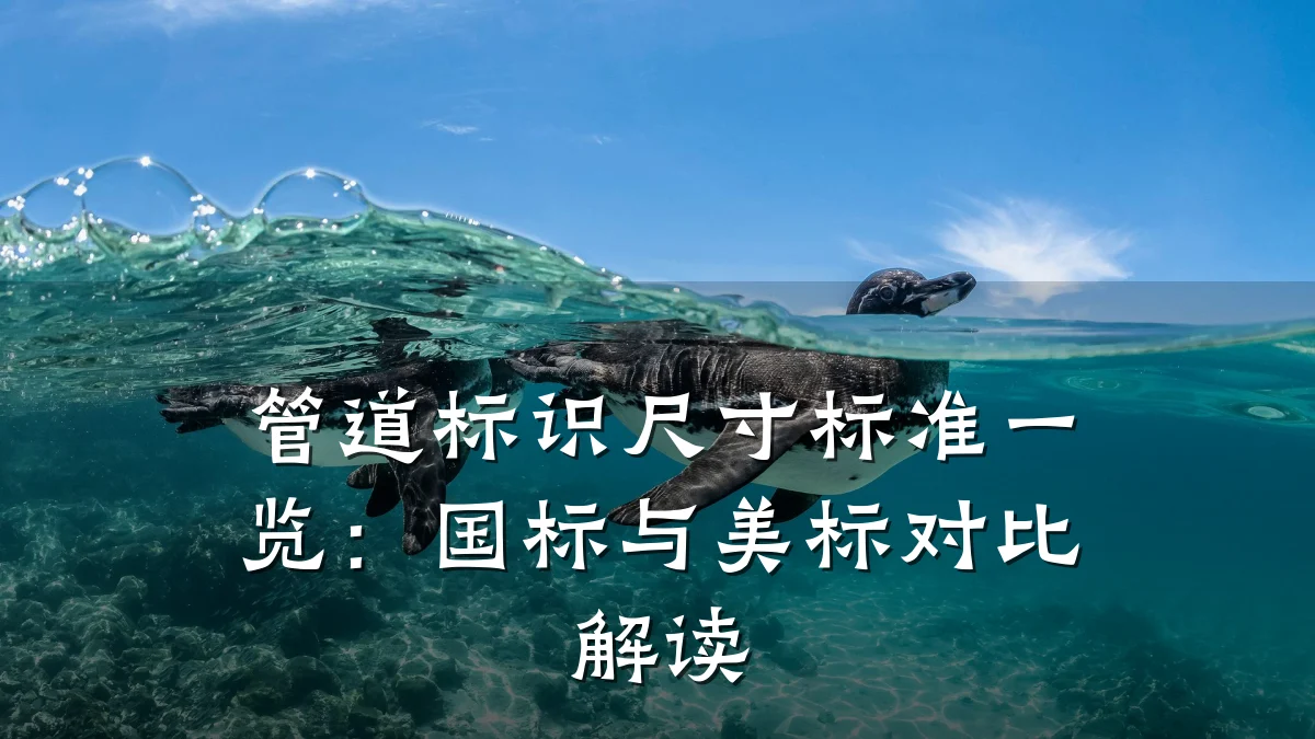 管道标识尺寸标准一览:国标与美标对比解读