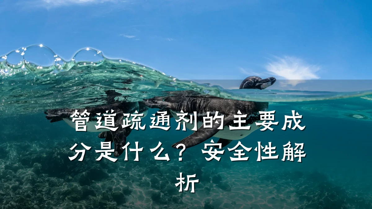 管道疏通剂的主要成分是什么?安全性解析