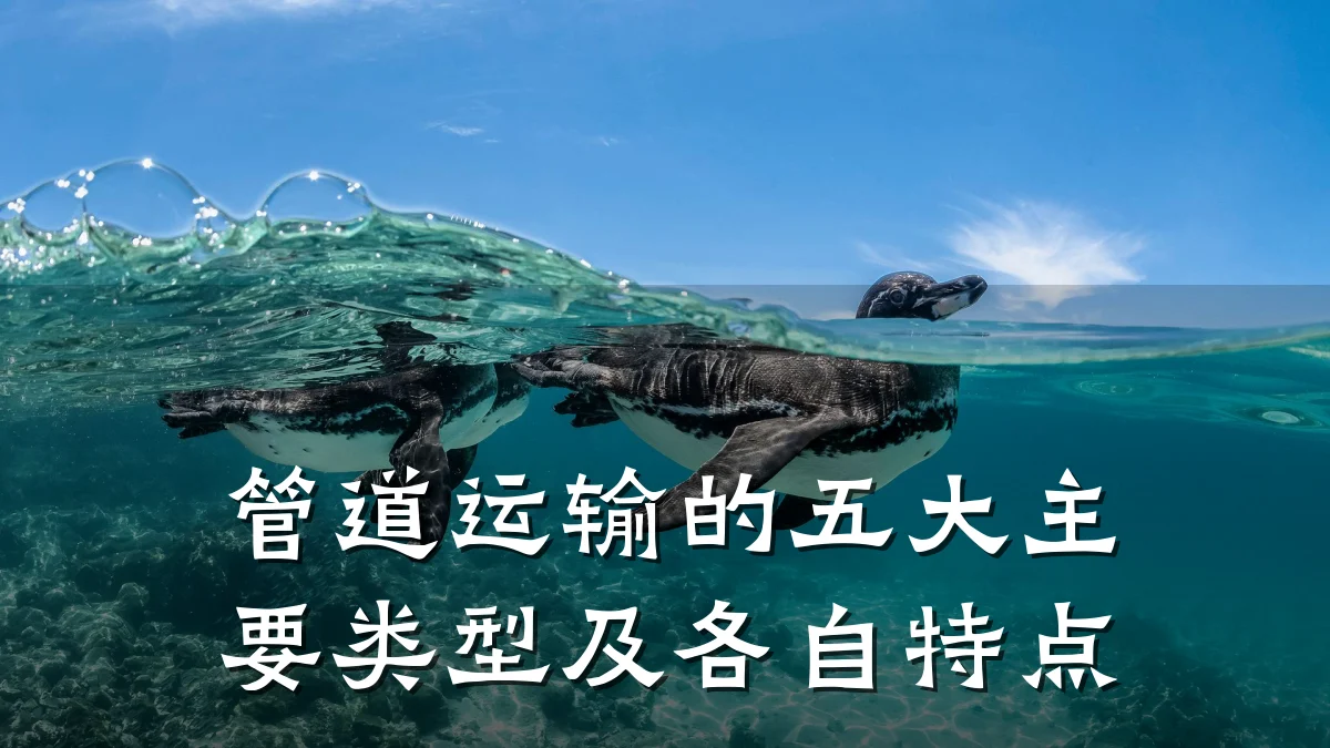 管道运输的五大主要类型及各自特点