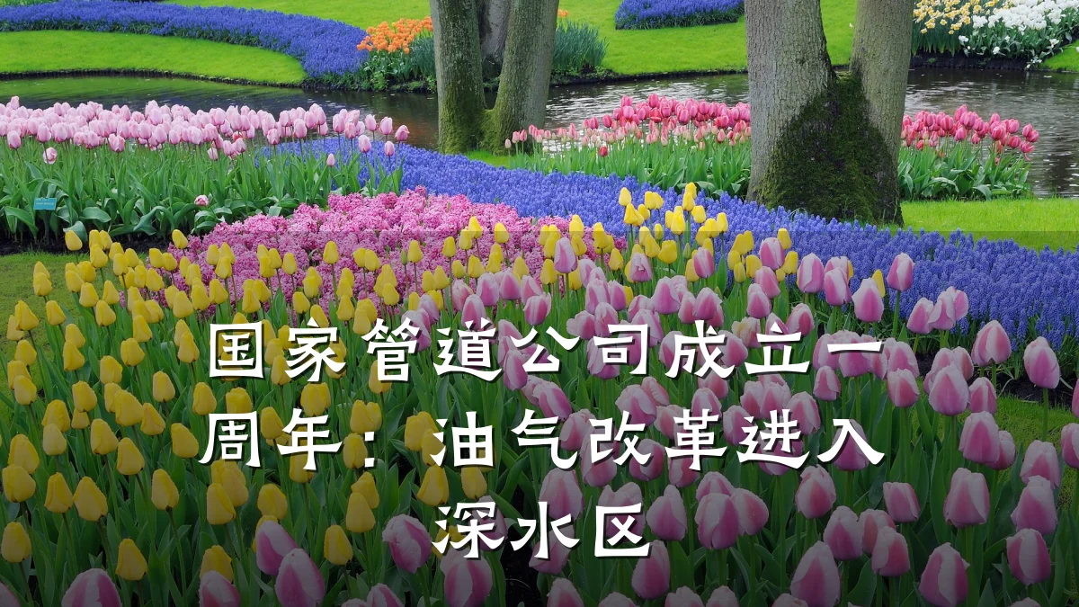 国家管道公司成立一周年:油气改革进入深水区