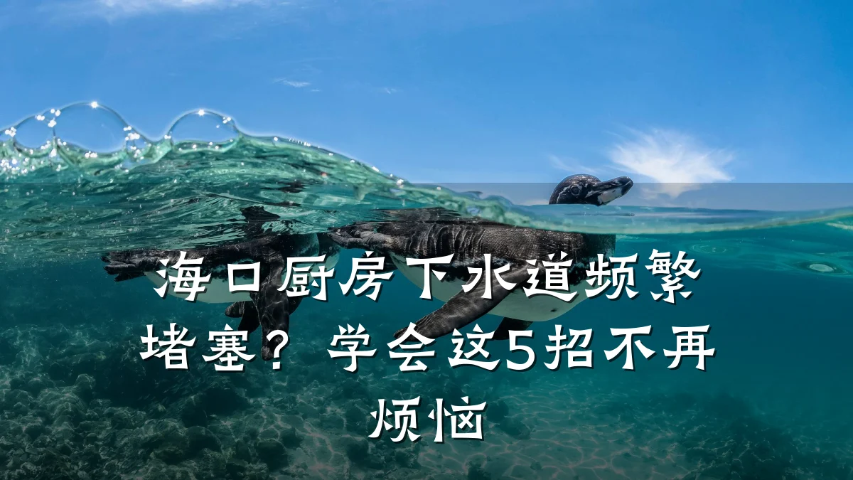 海口厨房下水道频繁堵塞?学会这5招不再烦恼
